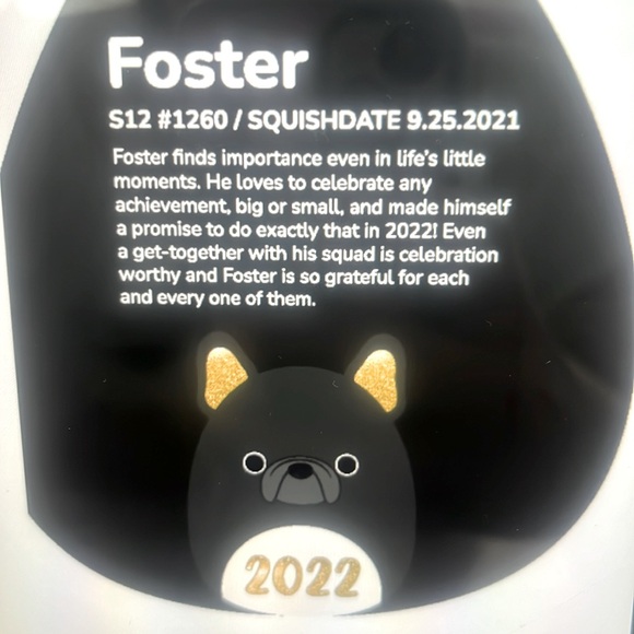 🖤 FOSTER 🐶 Black Bulldog SELECT SERIES 2022 Original Squishmallow Kellytoy NWT - Picture 3 of 3